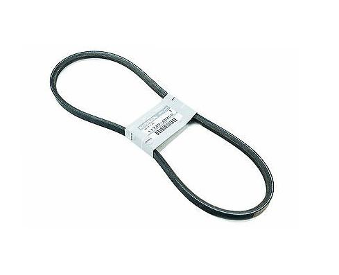 Nissan Drive Belt, Fan & Alternator