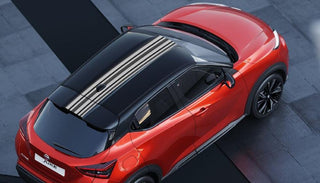 Juke Greyscale Stripe - New Nissan Juke - F16E