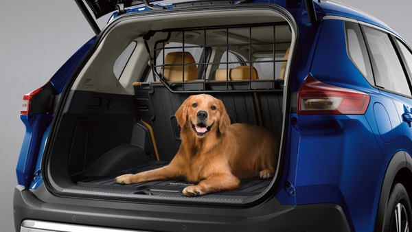 Nissan leaf dog guard best sale